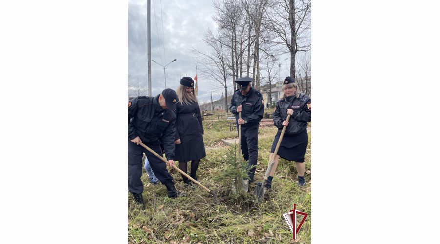 В парке Чекистов Алдана росгвардейцы высадили саженцы аянской ели, присоединившись к акции "Древо Сталинграда"