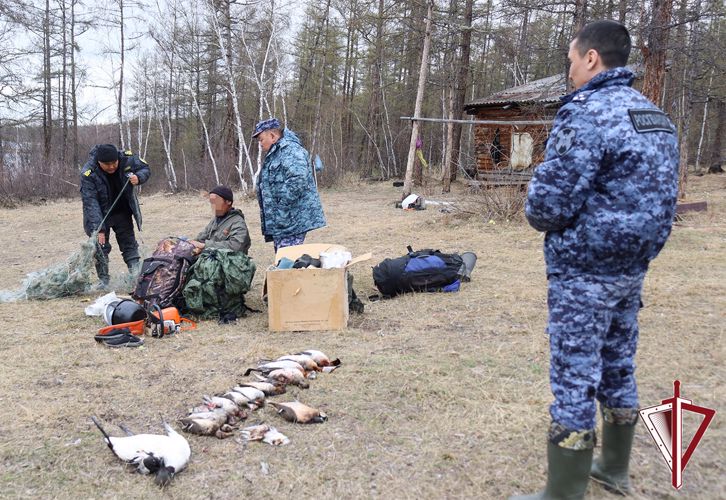 Инспекторы Росгвардии, Минэкологии и Росрыболовства на территории охотугодий Якутии выявили 8 административных правонарушений 