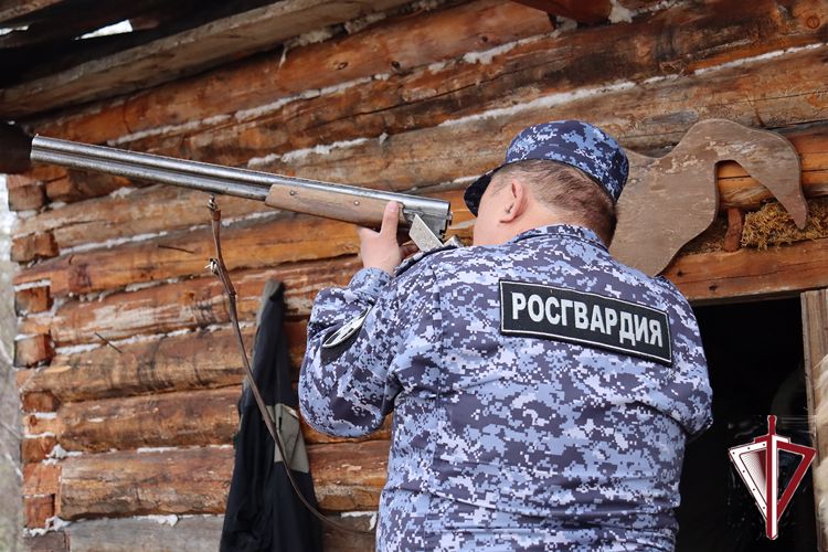 Как избежать принудительного отчуждения изъятого оружия 