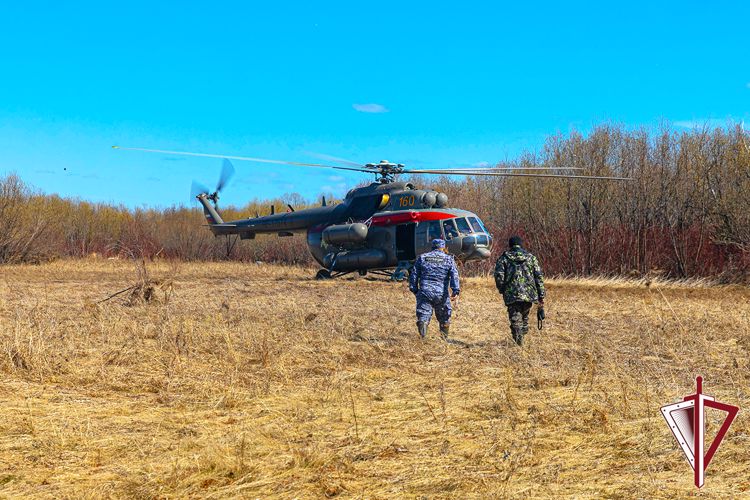 Росгвардия, Минэкологии и Росрыболовства провели профилактические мероприятия на территории охотугодий республики