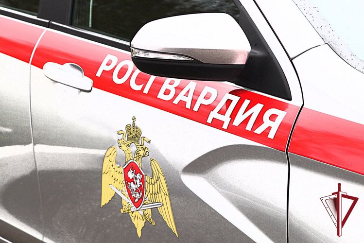 За неделю автопатрулями Росгвардии задержано 103 гражданина за совершение административных правонарушений