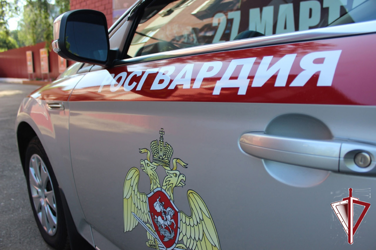 Наряд Росгвардии задержал женщину, находящуюся в федеральном розыске за неуплату алиментов  