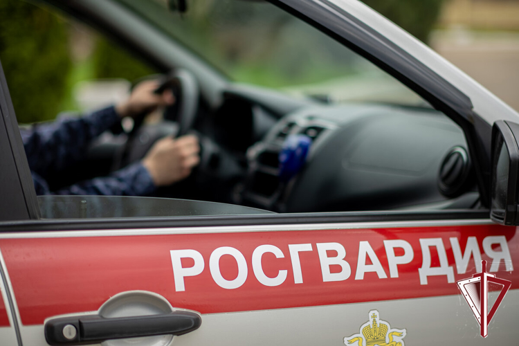 Итоги работы вневедомственной охраны Росгвардии за неделю 