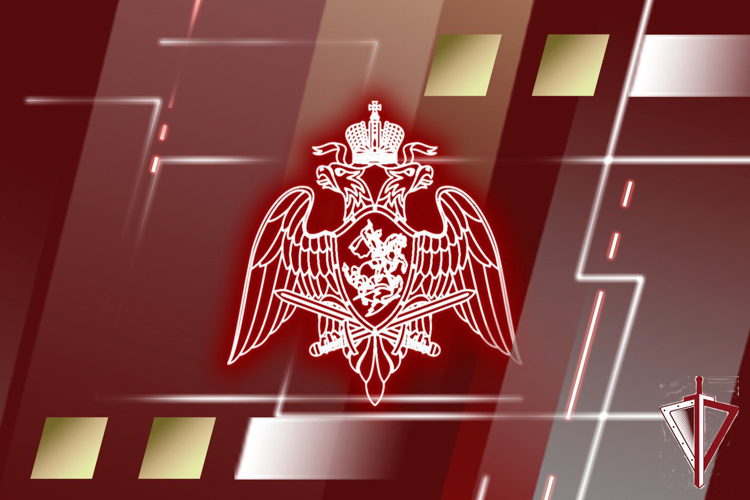 Приняты новые законы, регулирующие частную детективную и охранную деятельность