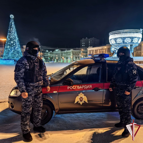 Хроника вызовов нарядов вневедомственной охраны Росгвардии в первые дни нового года