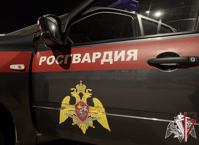 Хроника Росгвардии: кража продуктов из магазина, порча имущества, драка в ресторане