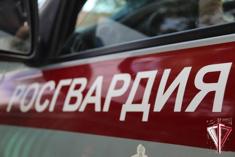  В Якутске за дежурные сутки росгвардейцы задержали разыскиваемых граждан за совершение преступлений  