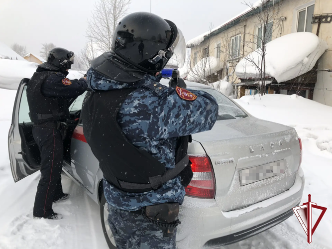 С начала марта экипажи вневедомственной охраны Росгвардии задержали 277 правонарушителей