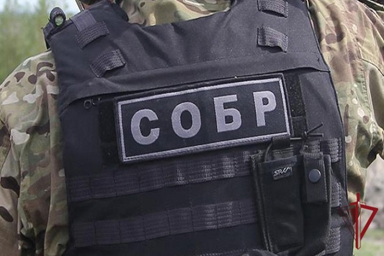 При содействии СОБР «Алмаз» пресечен нелегальный бизнес по продаже алкоголя с круглосуточной доставкой на дом