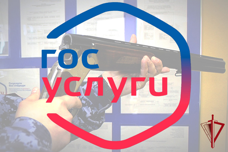Справку о наличии или отсутствии оружия можно получить дистанционно 