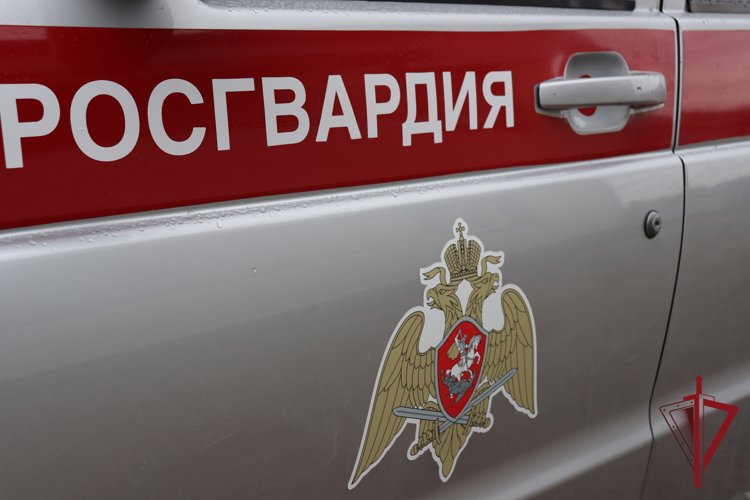 Росгвардейцы задержали двух жителей Якутска, подозреваемых в избиении работника магазина