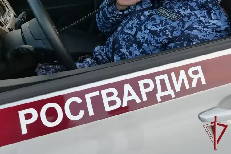 Росгвардейцы задержали двух жителей Якутска, подозреваемых в открытом хищении телефона